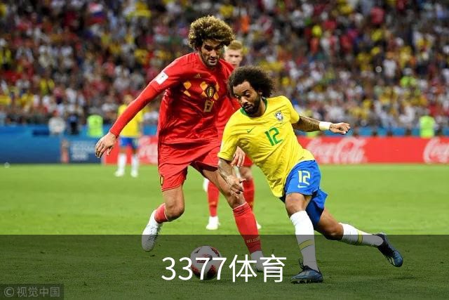 3377体育公司简介配图